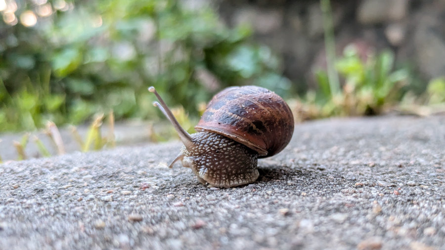 Runde 8: Es zieht sich